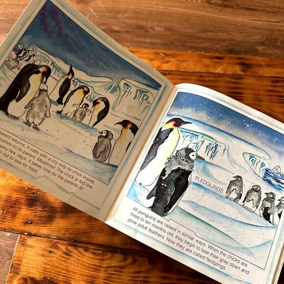 Vintage 1999 Scholastic Penguins Paperback Book - Picture 6 of 8